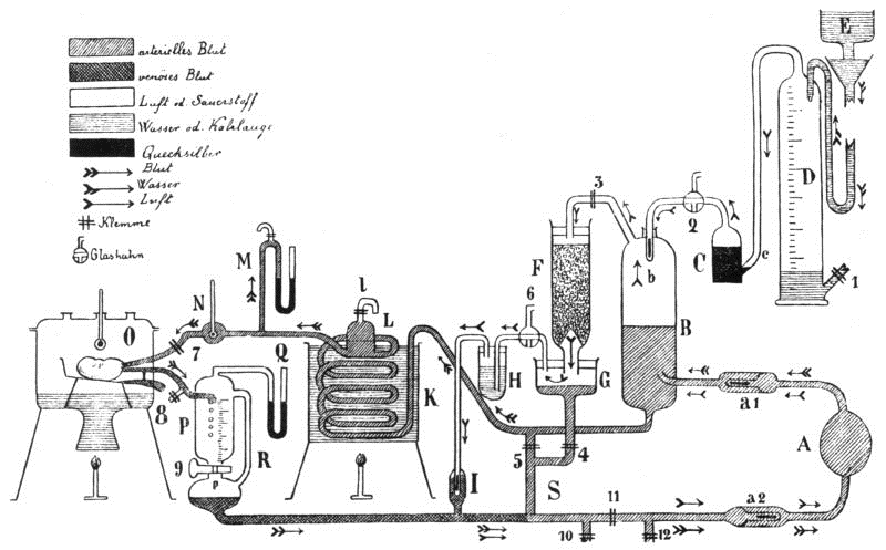 Extrakorporaler Kreislauf